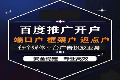 案例解读：网络推广与竞价策略